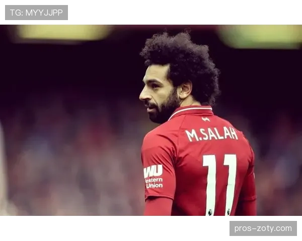 孙兴慜与萨拉赫多点驱动下的射门分布趋同性分析