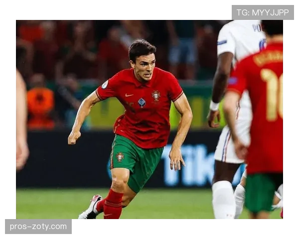 帕利尼亚在葡超冠军球队中的战术角色与作用解析